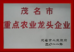 重點農(nóng)業(yè)龍頭企業(yè)