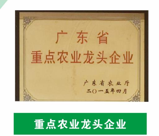 重點農(nóng)業(yè)龍頭企業(yè)